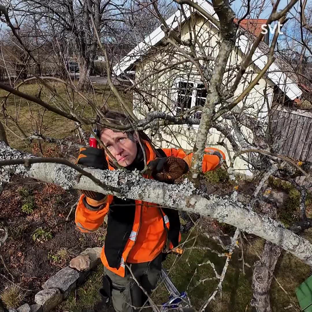 Så gör arboristen Malin för att hålla snyggt i trädgården